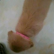 唇间灬残留你余香