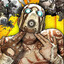 RaideR™