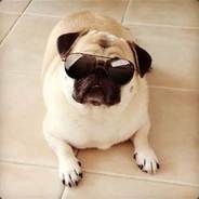 Agent Pug