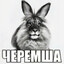 Василий Черемша