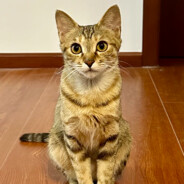 为共产主义奉献终身