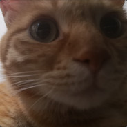 牵着蜗牛去旅行