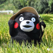 Neppa