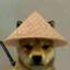 Tofu