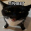 итольяно мамито