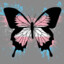ether_butterfly
