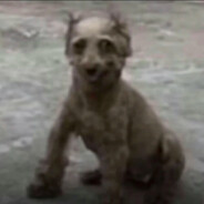 大狗嚼俱乐部飞舞打手