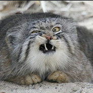 ДвупалубныйАрсен - steam id 76561198420251925