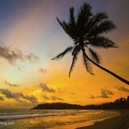 一代补丁一代神