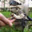 saboteur/A/
