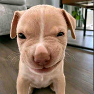 Lucho (V23B))
