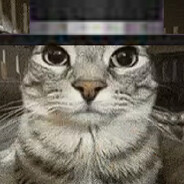 objectalprostofizlaier