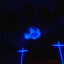 woah's avatar