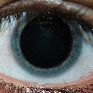 Greed_ass(offlane)  BP2022.cc