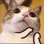 胆很肥的小学生