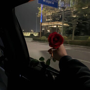 满船清梦压星河