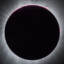 BlackMoon1190