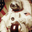 space sloth