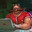 Honest avatar