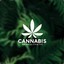 Cannabis&#039;