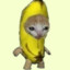 Banana Cat