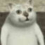 吃猫的鱼