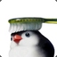 sillyuser94me