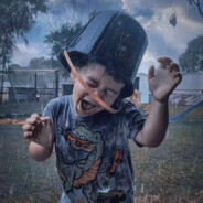 枫树下的绿菜花