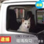 Tama狗勾