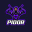 228_p1d0r_®