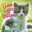 playful cat ₍^. .^₎⟆