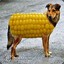 Dogcorn