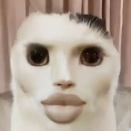 Domitori