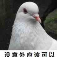 尼麻麻的