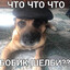 Бобик Шелби's avatar