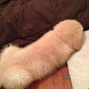 В семье не без урода