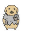sarus's avatar