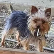 Fredi Kamionka gmina burzenin