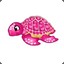 PinkTurtle