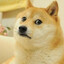 Dogegab