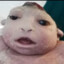 Lilflamebro_505
