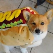 BullyBear