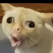 免费教学撸坤巴