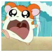 Hamtaro