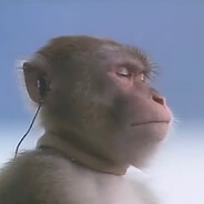 出生只是见我的门槛