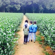 共享大狙 在线白给