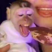 Hamzashahid Qorathalimarجبار