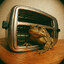 toad in a toaster