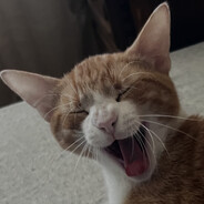 Sopa - steam id 76561198780588707