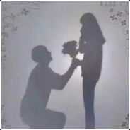 王佳梁爱苗人凤